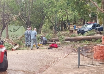 Promotoria pede condenação de Campinas por gestão do Parque Taquaral após morte de Isabela