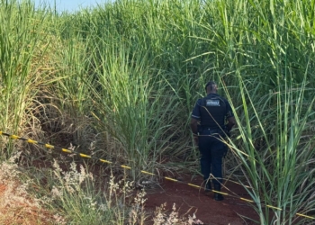 Motoboy encontra corpo de homem desaparecido na última sexta-feira