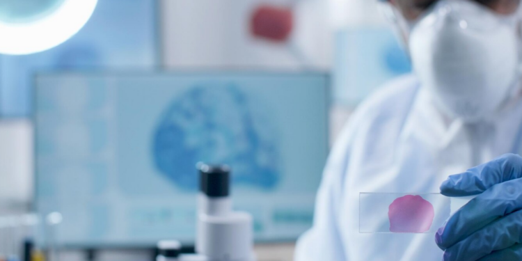 Pesquisa em prevenção e cuidado do câncer: prioridade para o futuro – por Carmino de Souza