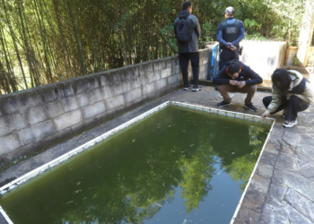 Campinas vistoria a partir desta terça imóveis fechados em operação contra a dengue