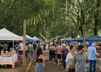 Feira de Barão Geraldo traz programação musical com rock e entrada gratuita