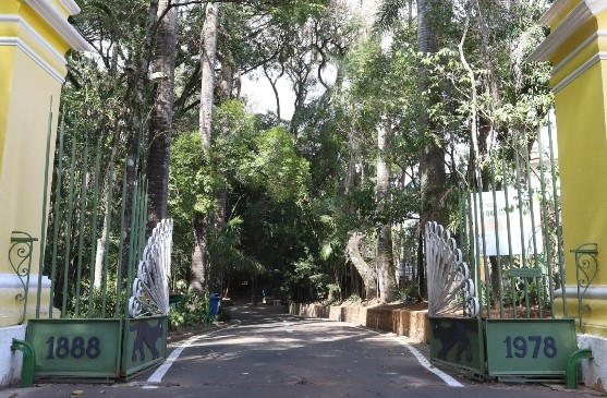 Bosque do Parque Valença, em Campinas, é reaberto ao público neste domingo