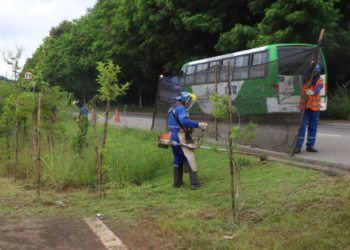 Região do Jd. Campos Elíseos recebe mutirão de limpeza a partir desta quarta-feira