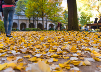 Outono começa nesta sexta com calor no Sul e em Mato Grosso do Sul