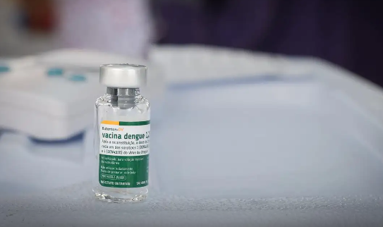 Vacina brasileira contra a dengue mantém eficácia por até 5 anos
