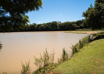 Prêmio internacional situa Valinhos entre cidades referência em arborização