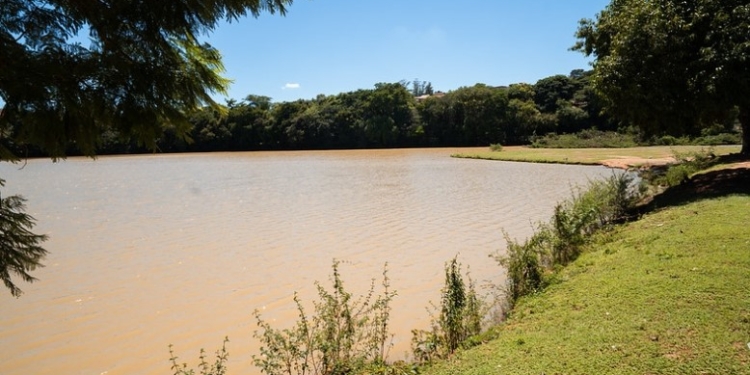 Prêmio internacional situa Valinhos entre cidades referência em arborização