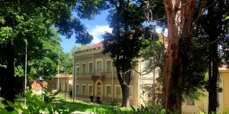 O menino invisível do Culto à Ciência – por Alexandre Campanhola