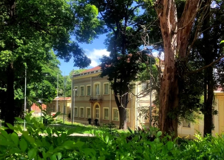 O menino invisível do Culto à Ciência – por Alexandre Campanhola