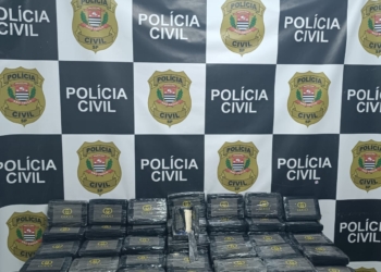 Polícia Civil apreende mais de 225 kg de cocaína em caminhão e prende motorista em Campinas