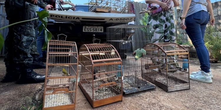 Polícia Ambiental apreende aves silvestres e cachorro em situação de maus-tratos em Jaguariúna