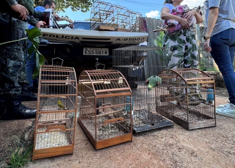 Polícia Ambiental apreende aves silvestres e cachorro em situação de maus-tratos em Jaguariúna