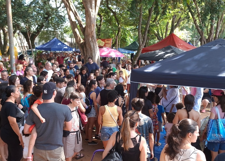Reggae na Praça anima a Feira de Barão Geraldo neste final de semana