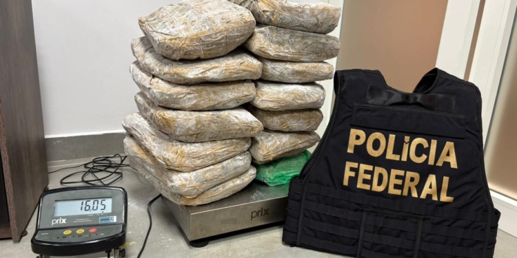 Mulher é presa pela PF em Viracopos com 16kg de maconha