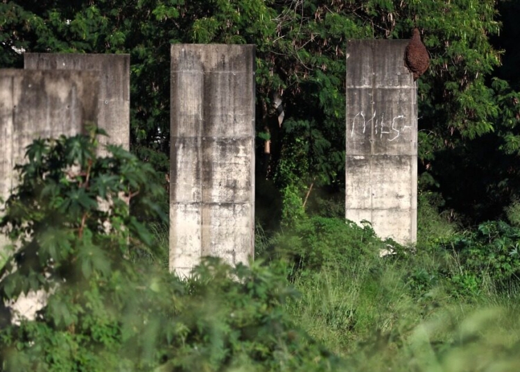 Promessa sobre trilhos: extensão da Maria Fumaça não avança há mais de 10 anos