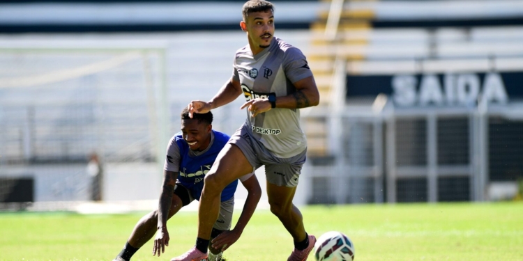 Em busca da primeira vitória, Ponte Preta tenta derrubar invencibilidade do Avaí