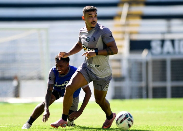 Em busca da primeira vitória, Ponte Preta tenta derrubar invencibilidade do Avaí