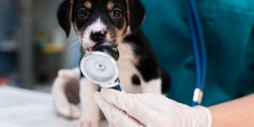 Dia Mundial da Medicina Veterinária é comemorada neste sábado, 25 de abril