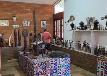 Campinas recebe exposição ‘África Gigante’