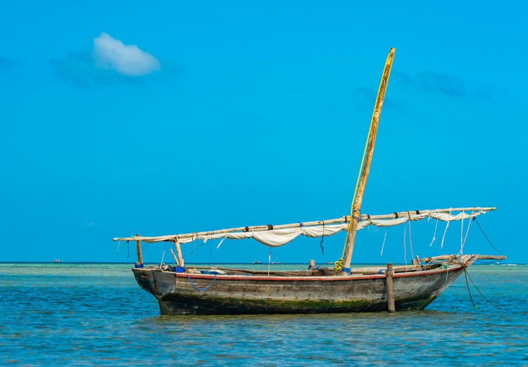 Artigo: Minha Jangada de Velas – por Rubem Costa (II)