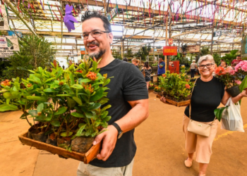 Ceasa Campinas celebra o Dia das Mães com programação especial no Mercado de Flores