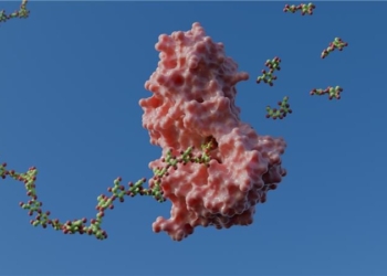 Pesquisa do CNPEM revela mecanismo de enzimas com potencial de revolucionar área de biocombustíveis