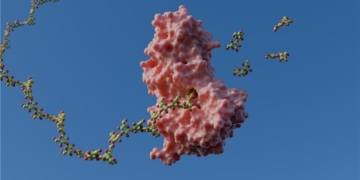 Pesquisa do CNPEM revela mecanismo de enzimas com potencial de revolucionar área de biocombustíveis