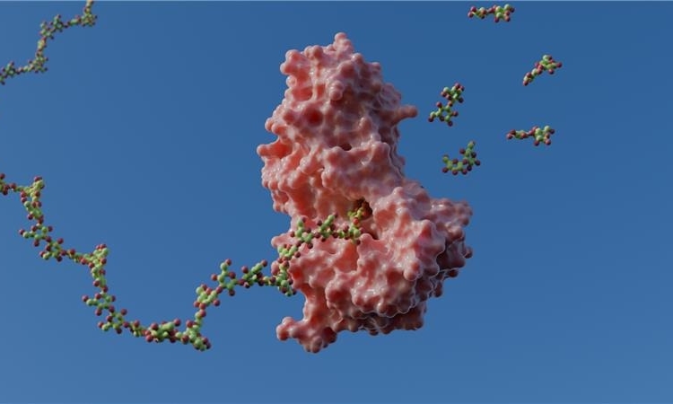 Pesquisa do CNPEM revela mecanismo de enzimas com potencial de revolucionar área de biocombustíveis