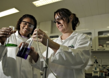 Cargill abre inscrições para Programa de Estágio 2026, com vagas em Campinas