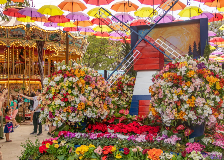 Expoflora inicia venda de ingressos com desconto; festa começa dia 28 de agosto