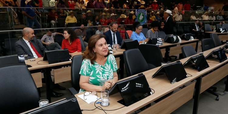 No Dia Nacional de Combate ao Bullying: debate na Câmara discute enfrentamento