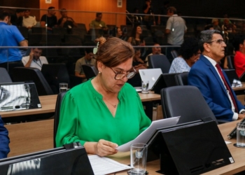 Frente Parlamentar debate destinação do IR aos Fundos da Criança e do Idoso