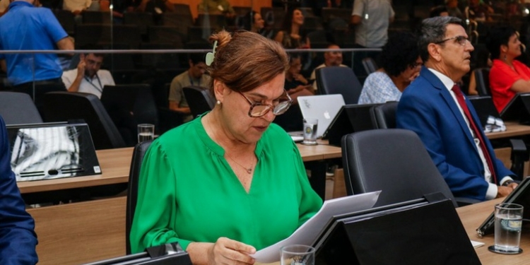 Frente Parlamentar debate destinação do IR aos Fundos da Criança e do Idoso