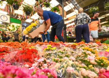 Ceasa Campinas abre licitação para permissionar 164 boxes no Mercado de Flores