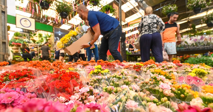 Ceasa Campinas abre licitação para permissionar 164 boxes no Mercado de Flores