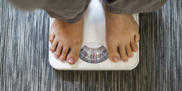 Cientistas descobrem como a obesidade do pai afeta o metabolismo dos filhos