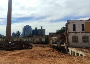 Movido pela curiosidade – por Alexandre Campanhola