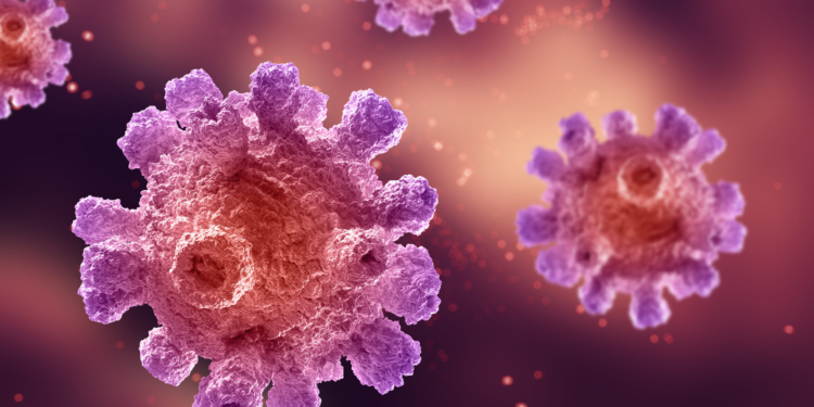 Vacina em estudo demonstra eficácia contra células tumorais ligadas ao HPV