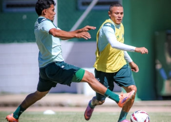 Guarani recebe o Amazonas no Brinco com chance de assumir a liderança