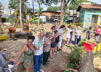 Praça do Coco: Prefeitura diz que árvores serão substituídas por dois jequitibás