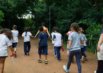 Projeto Práticas de Encantamento realiza intervenção artística em Campinas