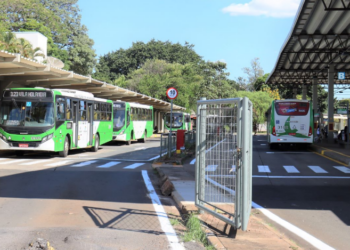 Campinas habilita consórcios com menor preço na licitação do transporte público