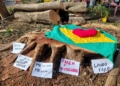 Laudo do Comdema aponta corte ‘injustificado’ de árvores na Praça do Coco