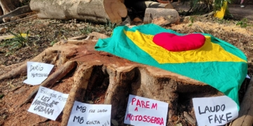 Laudo do Comdema aponta corte ‘injustificado’ de árvores na Praça do Coco