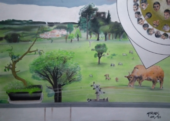 Feira de Acessibilidade em Campinas mostrará a arte de pessoas com deficiência