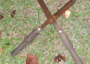 Homem é preso após invadir casa da ex-esposa e ameaçá-la de morte em Campinas