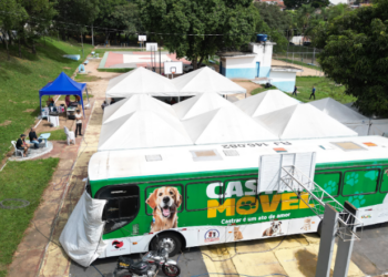Inscrições para castração gratuita de cães e gatos estão abertas em Campinas
