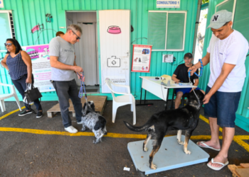Consultório Veterinário Móvel inicia atendimento na Vila Esperança nesta segunda