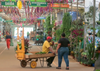 Ceasa Campinas realiza neste sábado Feira de Noivas no Mercado de Flores