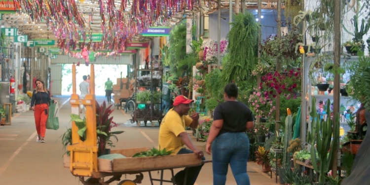 Ceasa Campinas realiza neste sábado Feira de Noivas no Mercado de Flores